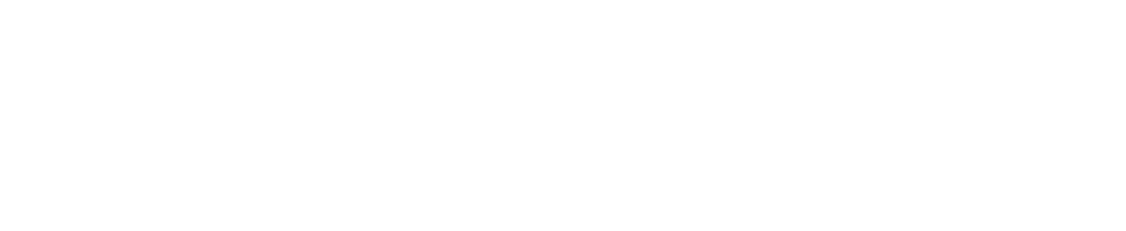 Project Logo
